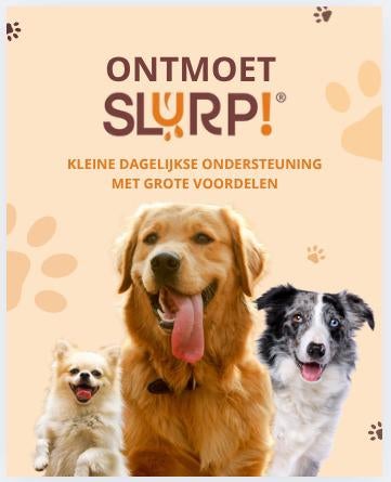 Te koop: SlurpNow – complete webshop + merk + voorraad, Zakelijke goederen, Exploitaties en Overnames