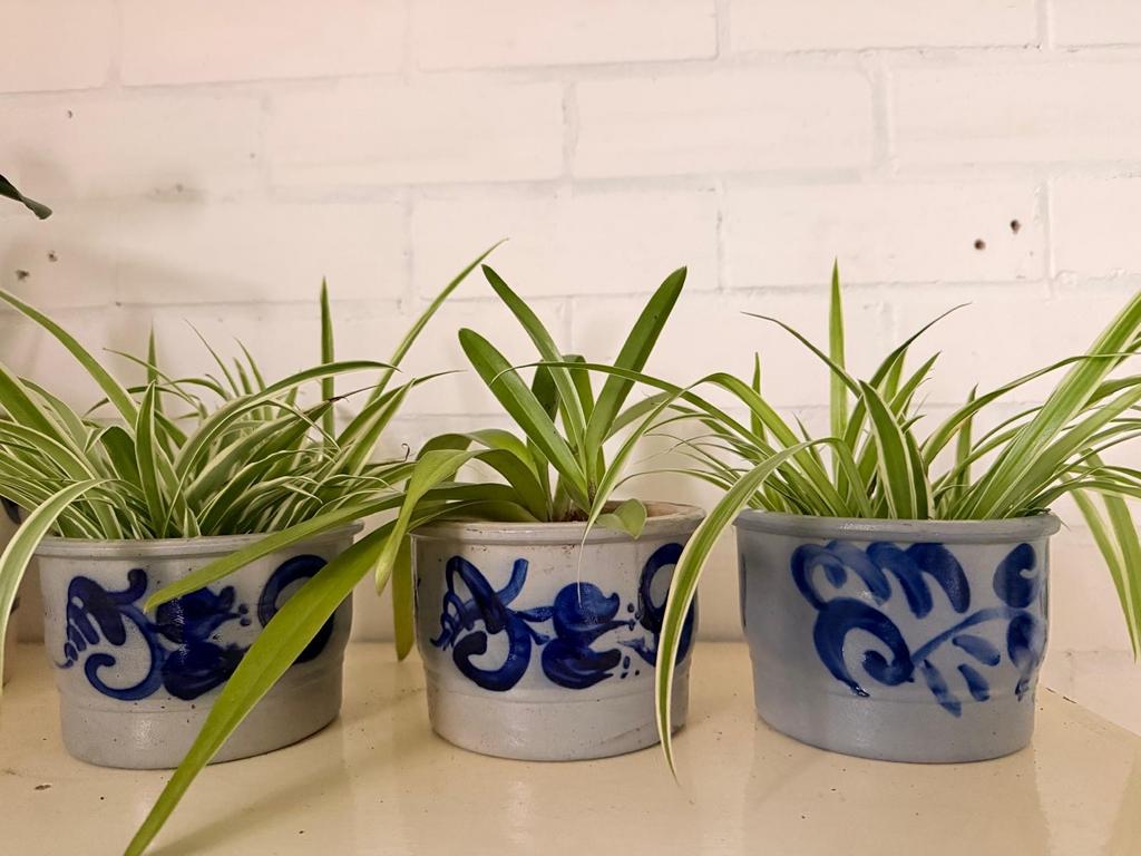 Keulse potten, Antiek en Kunst, Antiek | Keramiek en Aardewerk, Ophalen