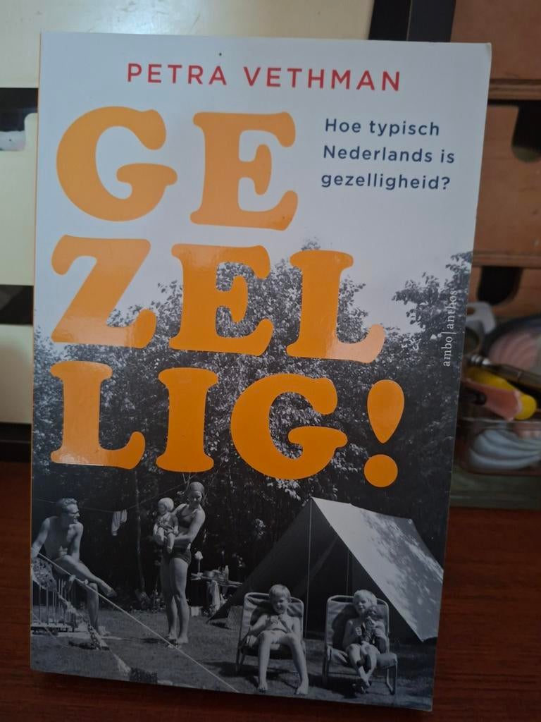 Petra Vethman - Gezellig!, Verzenden, Petra Vethman, Zo goed als nieuw, Nederland
