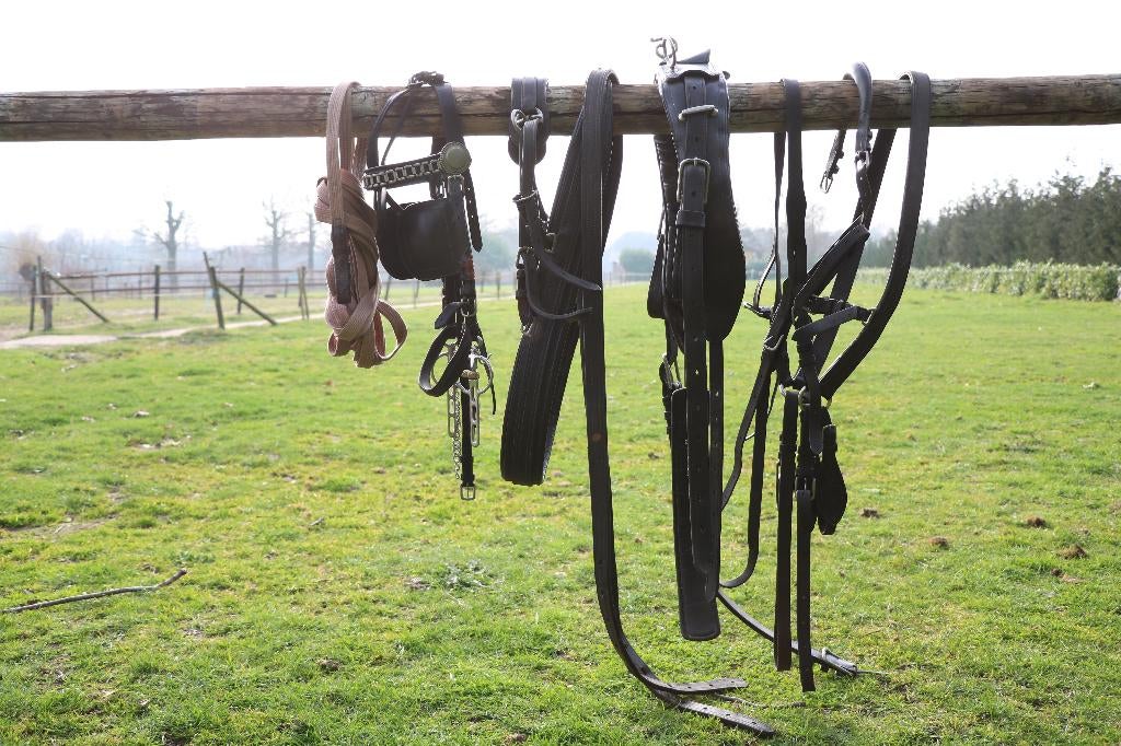 Enkelspan mentuig Full, Ophalen of Verzenden, Gebruikt, Overige soorten