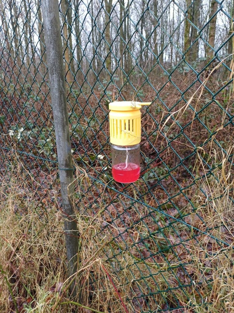 Dubbele Selectieve hoornaar val voor TO 82 mm, Tuin en Terras, Ophalen of Verzenden, Nieuw, Ongediertebestrijding