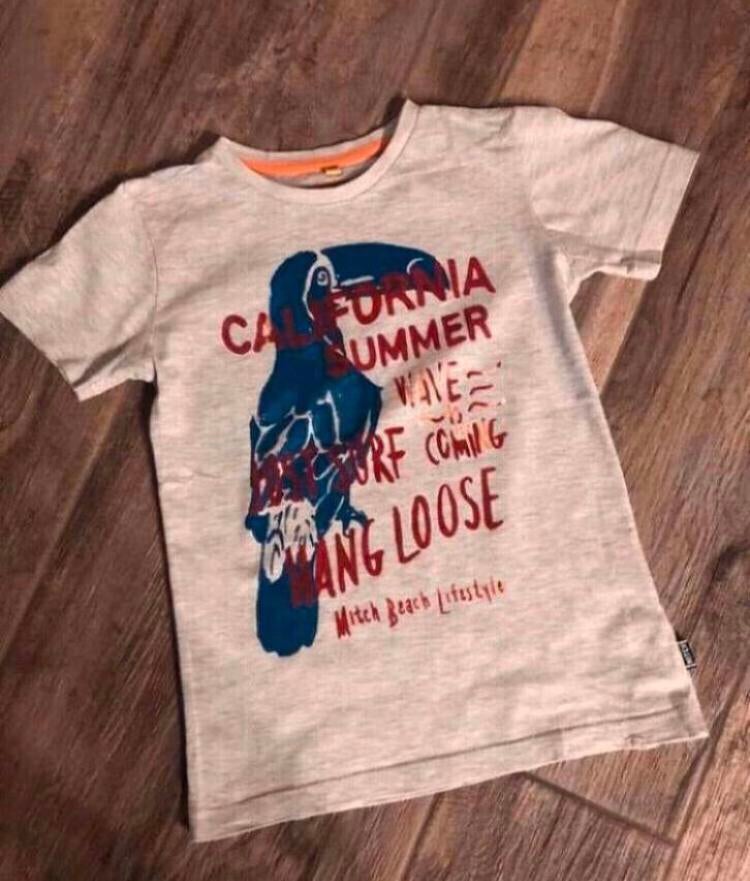 💙 SHOEBY MITCH Mt 116 shirt TOEKAN BEACH grijs jongen, Ophalen of Verzenden, Zo goed als nieuw, Jongen, Shirt of Longsleeve