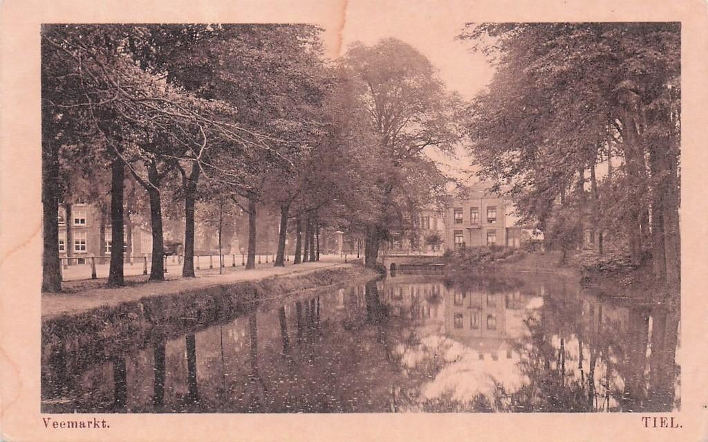 Tiel - Veemarkt a.h. kanaal (oudje), Ophalen of Verzenden, Voor 1920, Gelopen, Gelderland