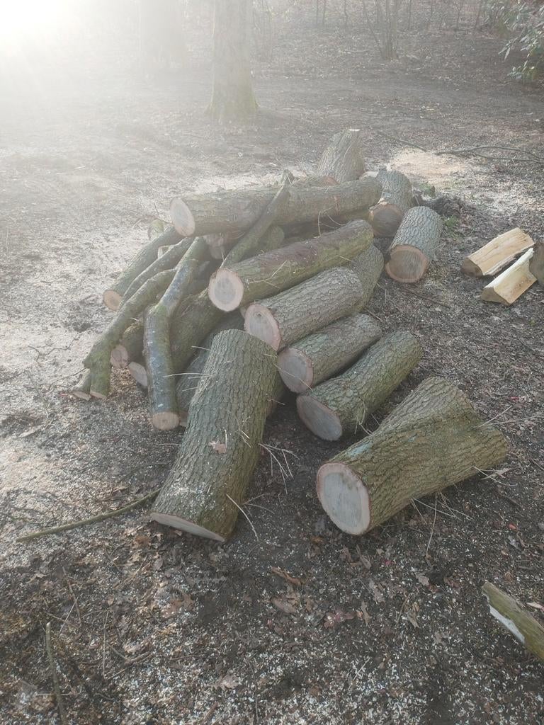 Macho eiken, Minder dan 3 m³, Ophalen of Verzenden