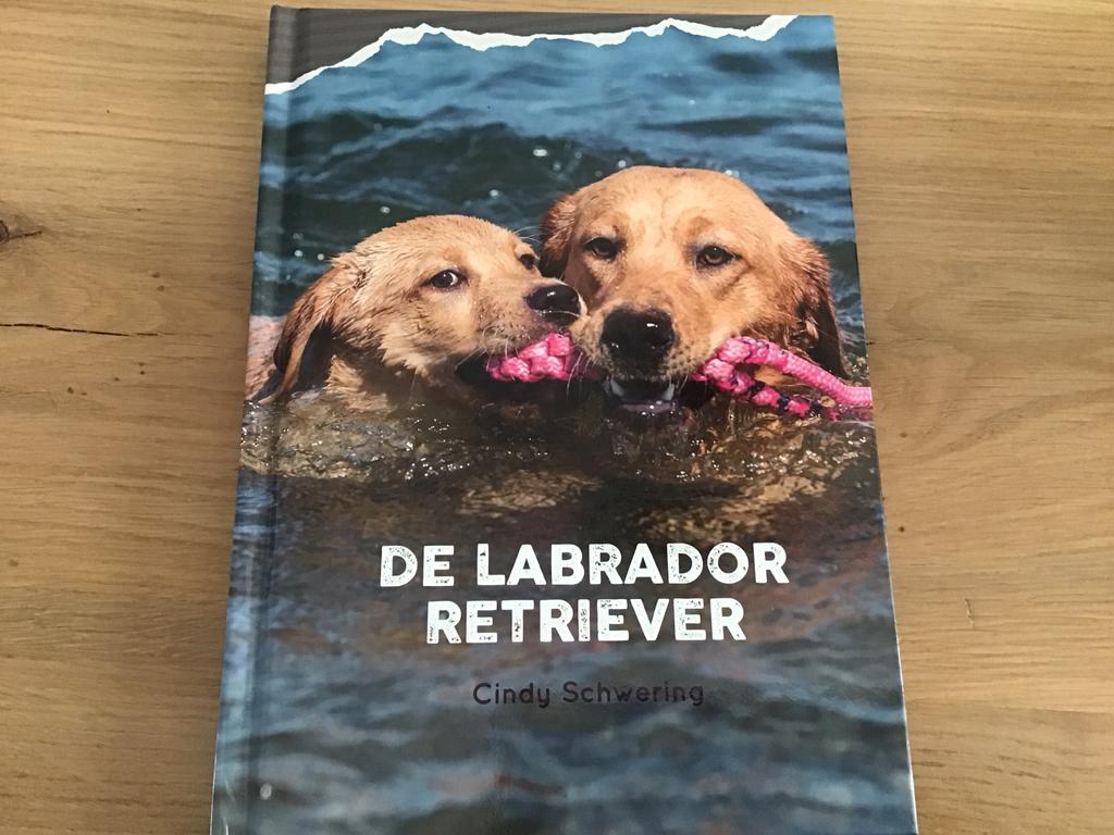 Boek: De Labrador Retriever door Cindy Schwering, Ophalen of Verzenden, Nieuw, Honden