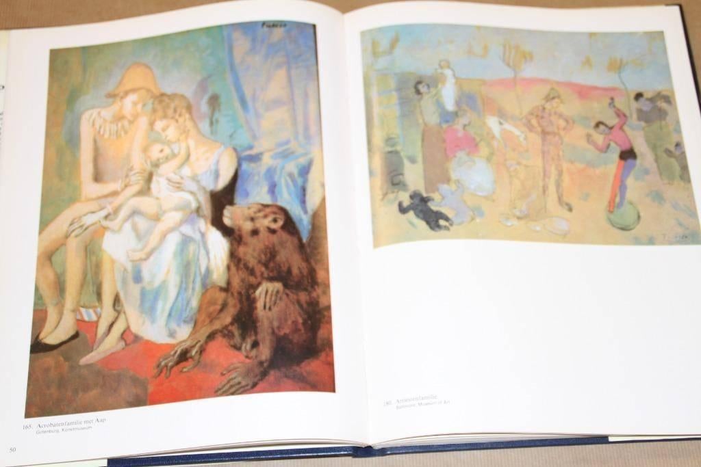 Het werk uit de Blauwe en Roze Periode van Picasso, Ophalen of Verzenden, Gelezen