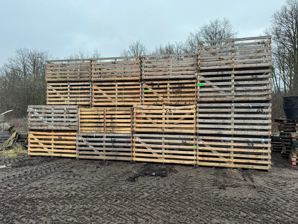 Palletboxen 230x100x120 - Export & Opslag, Ophalen, Gebruikt, 100 cm of meer, 60 cm of meer