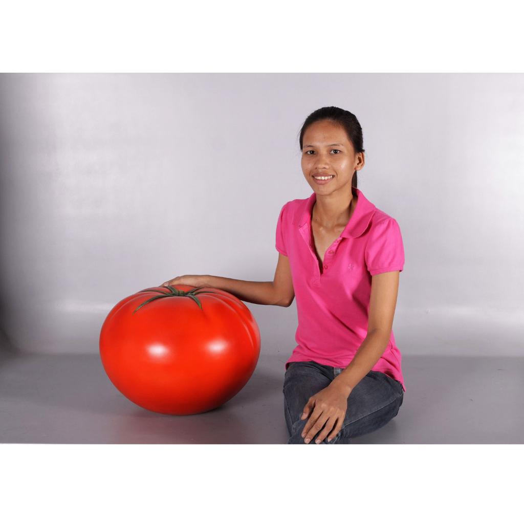 Tomato – Tomaat polyester – 70 cm, Ophalen, HorecaBeelden, Overige typen, Nieuw