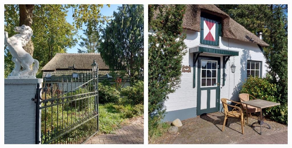 boerderijtje Holterberg met Finse sauna en houtkachel, Vakantie, Vakantiehuizen | Nederland, In bos, Overijssel, 3 personen, Landelijk