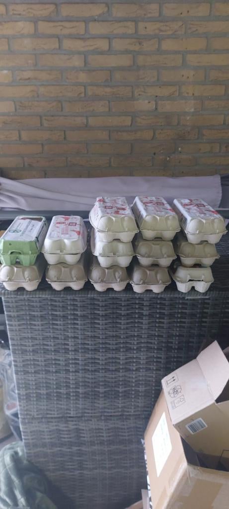 13 lege eier dozen, Ophalen of Verzenden