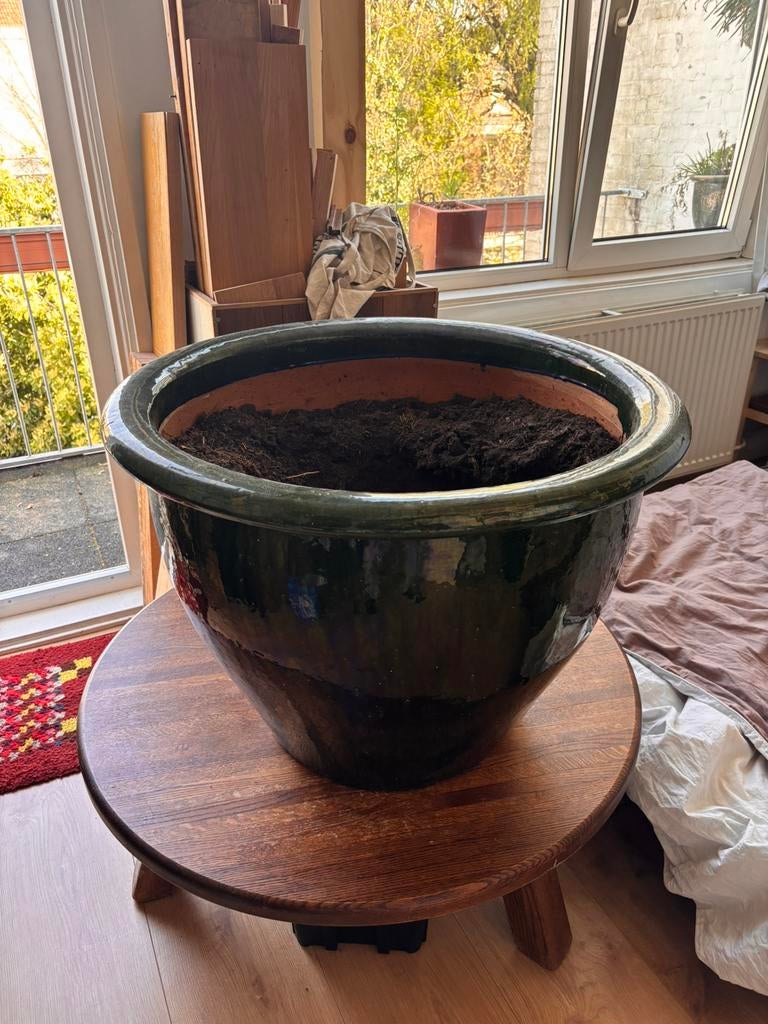 Prachtige groene plantenpot, Ophalen, Steen, Rond, Zo goed als nieuw