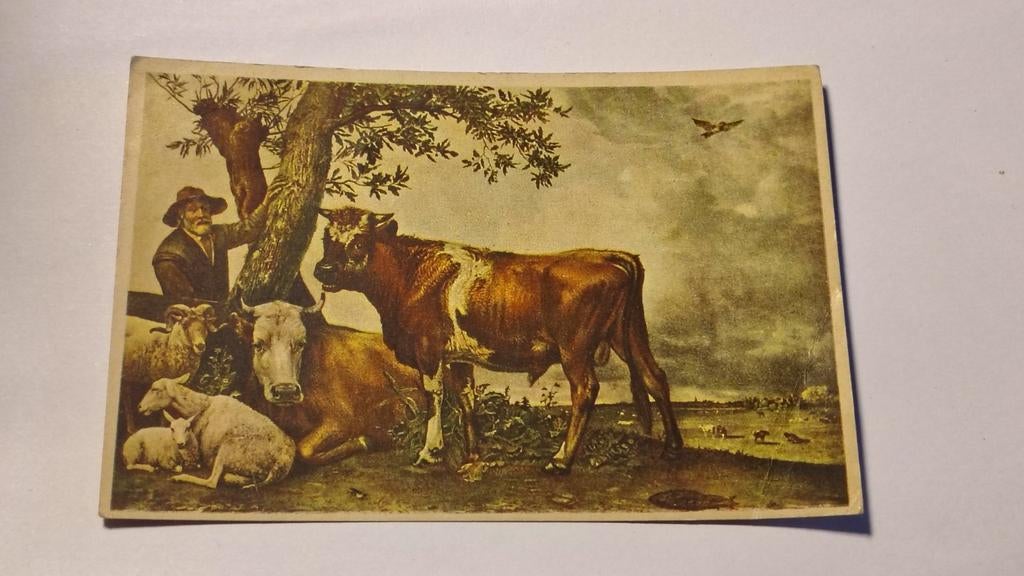 Nederland No.7 PAULUS POTTER De Jonge Stier, Ophalen of Verzenden, 1980 tot heden