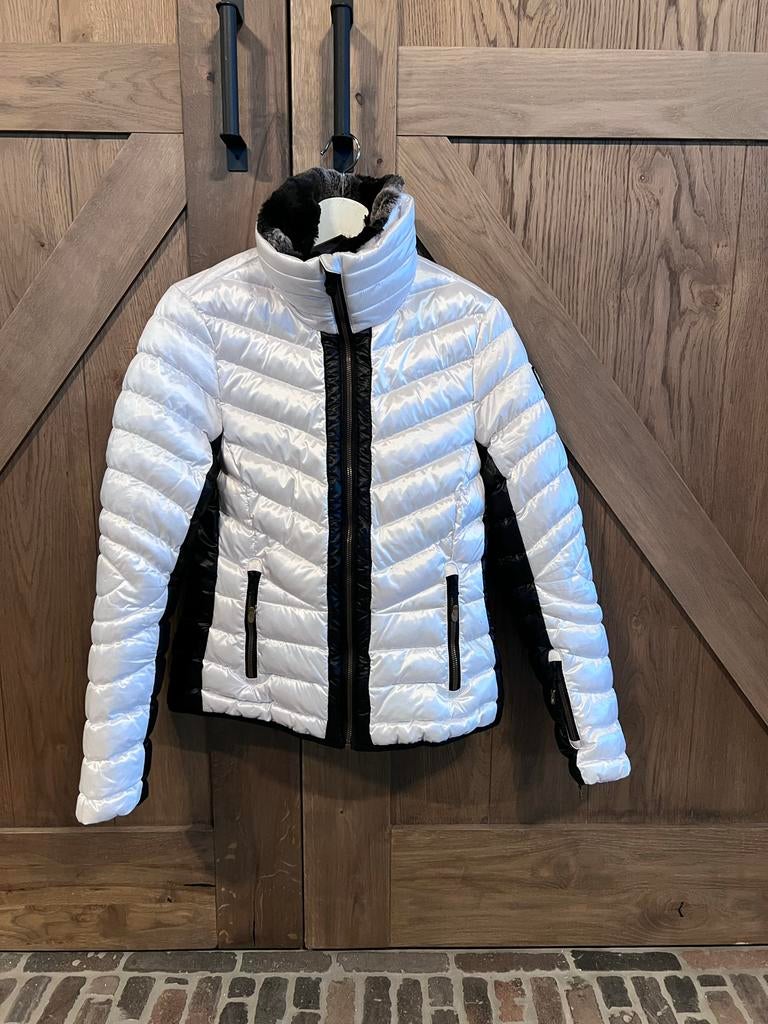 Falcon dames ski jas, maat 38, Kleding | Dames, Wintersportkleding, Zo goed als nieuw, Jack, Maat 38/40 (M), Ophalen of Verzenden