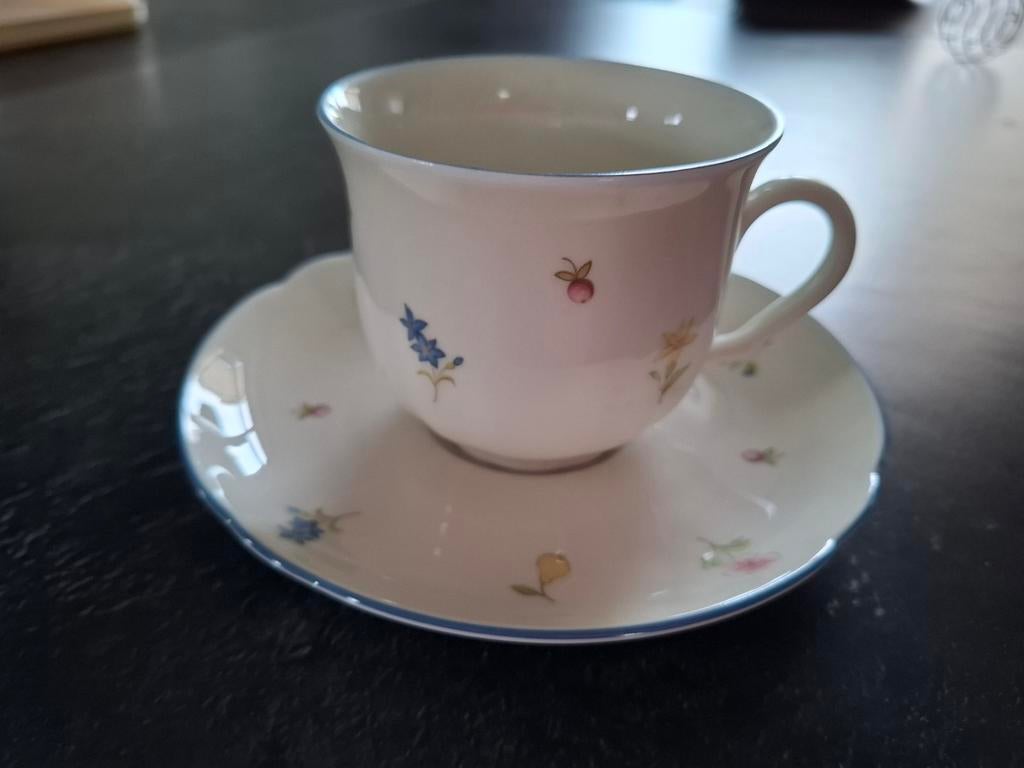 Seltmann Weiden kop en schotel - 8 stuks, Gebruikt, Ophalen of Verzenden, Overige stijlen, Kop(pen) en/of Schotel(s)