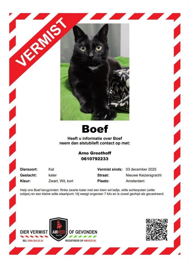 Onze kater Boef is vermist., Kat