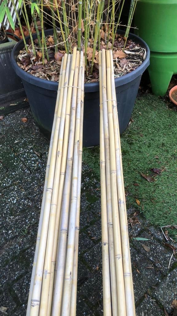 Lange bamboestokken voor de moestuin, Ophalen, Gebruikt, Overige typen