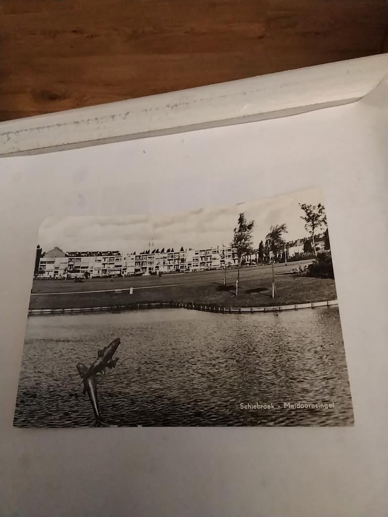 SCHIEBROEK.  MEIDOORNSINGEL, Ophalen of Verzenden