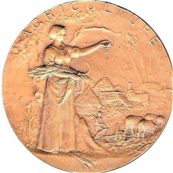 AGRICULTURE  VARKENS,  KIPPEN,  KOE,  SCHAPEN  en   PAARD, Postzegels en Munten, Penningen en Medailles, Ophalen of Verzenden