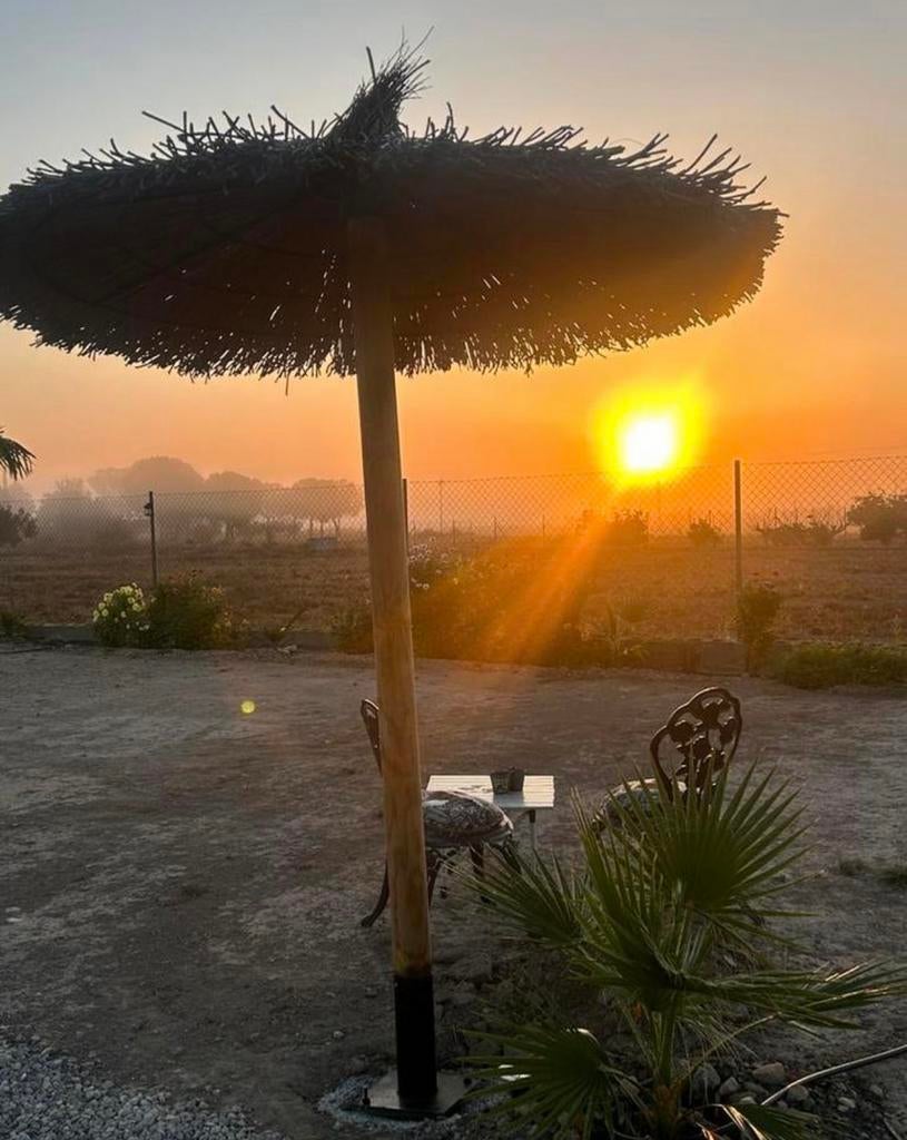 Zeer mooie handgemaakte Spaanse Parasols van Wilgentakken, Tuin en Terras, Parasols, Zo goed als nieuw, Zweefparasol, Ophalen of Verzenden