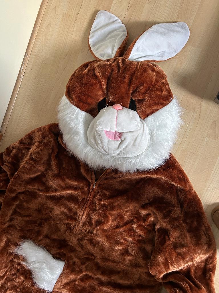 Pluche Mascotte Haas Pak/ konijn Kostuum, Ophalen, Gebruikt, Pasen