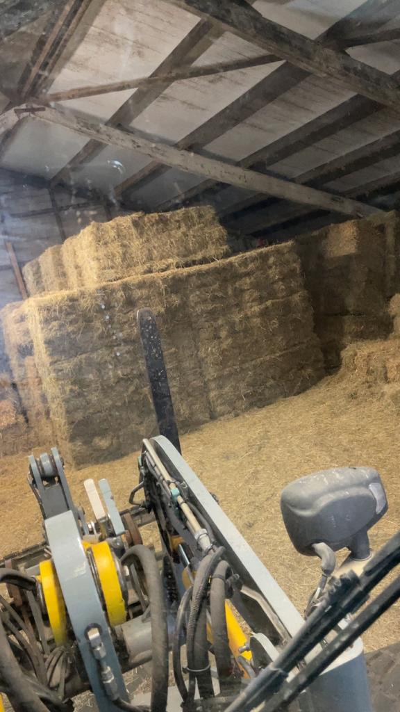 Frans weide hooi in bundels, Ophalen, Zo goed als nieuw