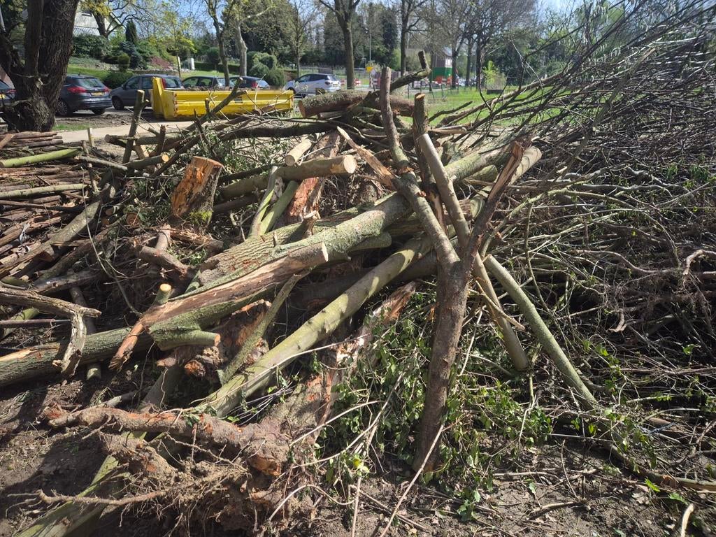 Snoeihout voor brandhout, 6 m³ of meer, Ophalen of Verzenden, Takken