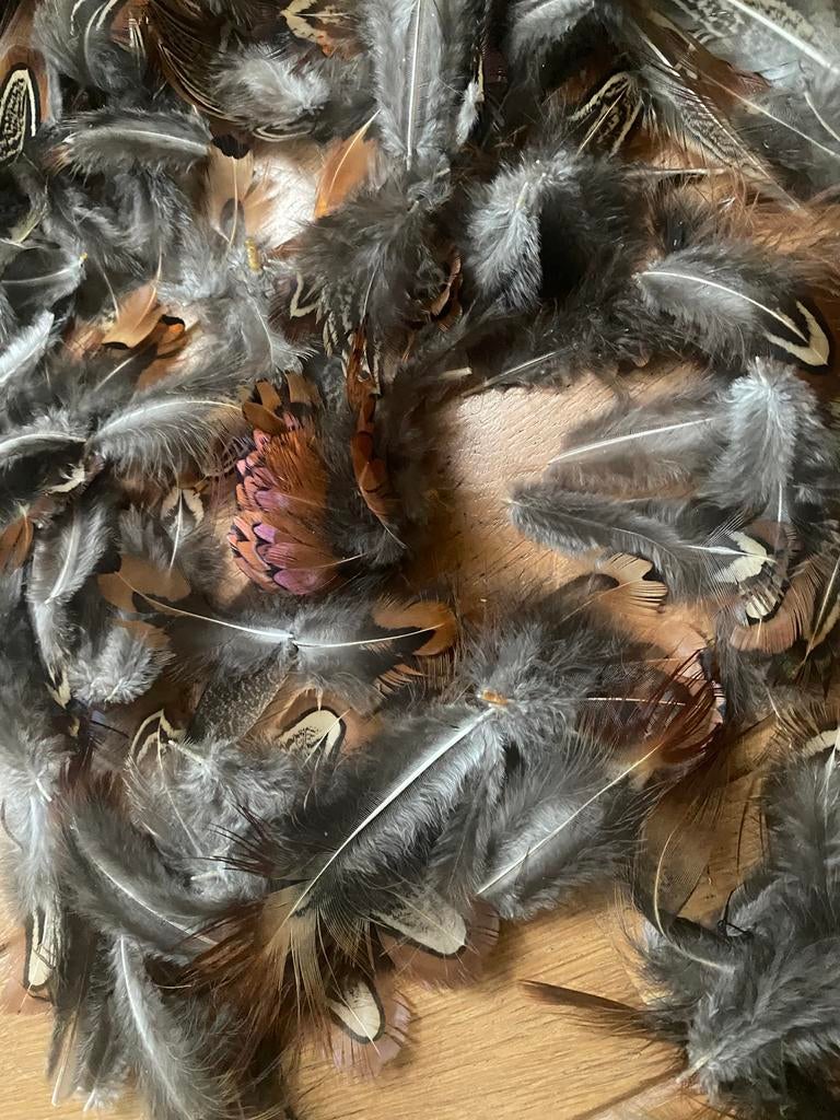 Fazant veren, Ophalen of Verzenden, Zo goed als nieuw