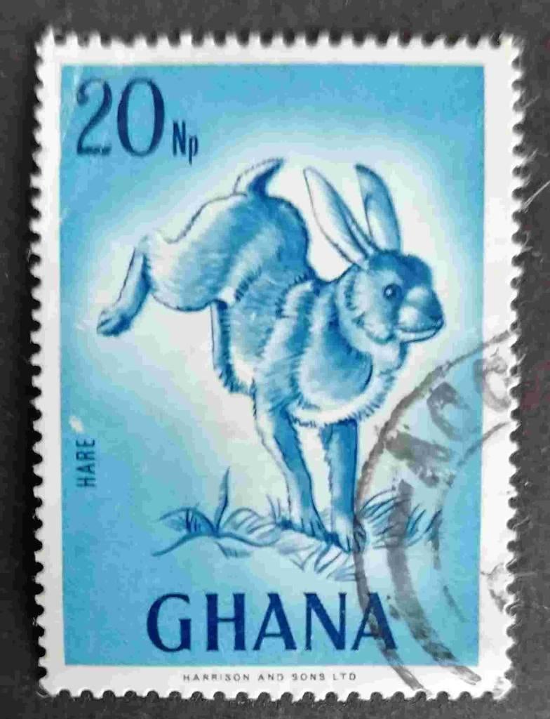 GHANA - veldhaas 1967, Verzenden, Overige landen, Gestempeld