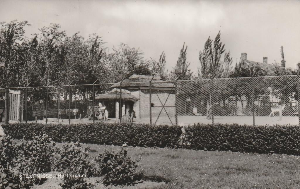 STAVENISSE Hertenkamp, Verzenden, 1960 tot 1980, Gelopen, Zeeland