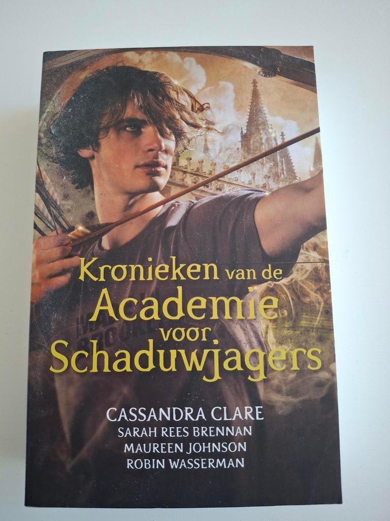 Kronieken van de Academie voor Schaduwjagers, Boeken, Fantasy, Ophalen of Verzenden