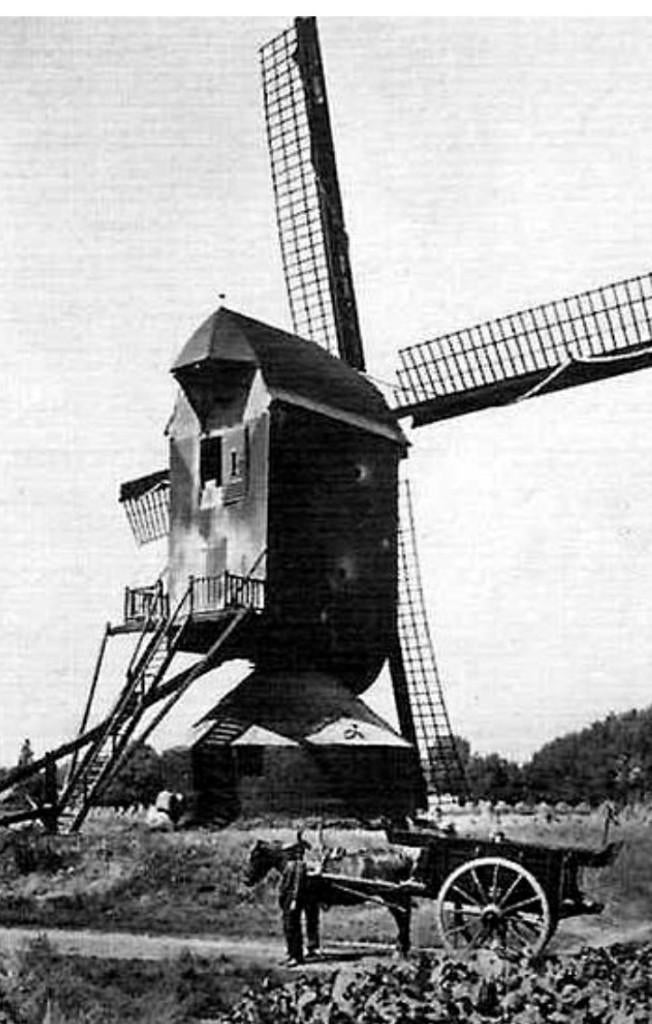 Gezocht vakantiefoto's / foto's van houten molen te Honthem., Gebruikt, Foto, Ophalen of Verzenden, Voor 1940