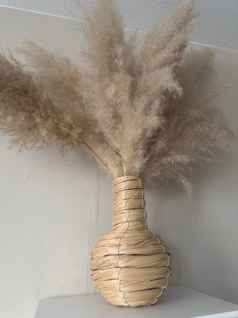 Pluimen in bamboe vaasje, Huis en Inrichting, Woonaccessoires | Vazen, Overige materialen, Overige kleuren, 50 tot 75 cm, Ophalen of Verzenden