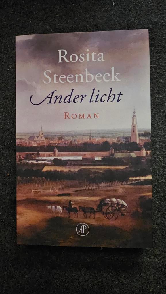 Rosita Steenbeek - Ander licht, Ophalen of Verzenden, Zo goed als nieuw, Rosita Steenbeek
