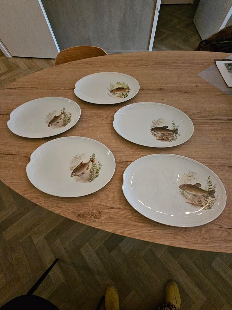 Royal Schwabap visborden 5 stuks, Ophalen of Verzenden