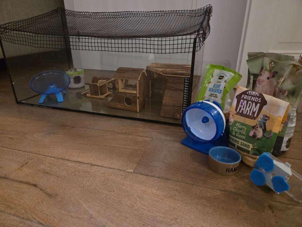 Hamsterhok van glas met accessoires, Dieren en Toebehoren, Ophalen, Zo goed als nieuw, Hok, Minder dan 60 cm
