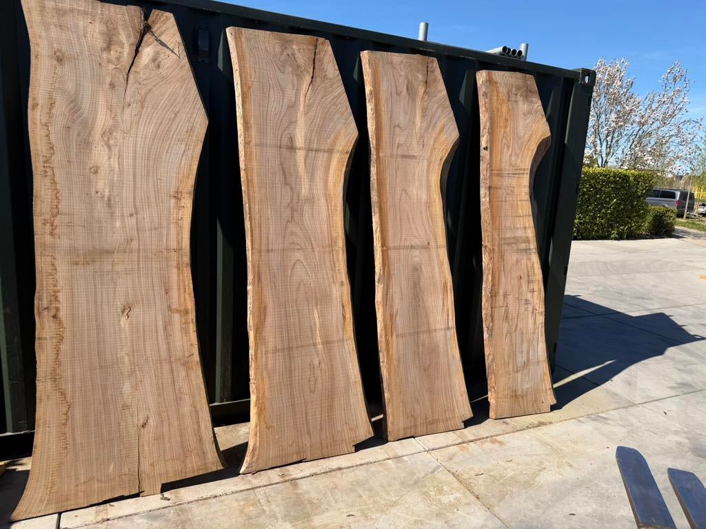 4 zeer mooie iepen boomstambladen voor 400 euro