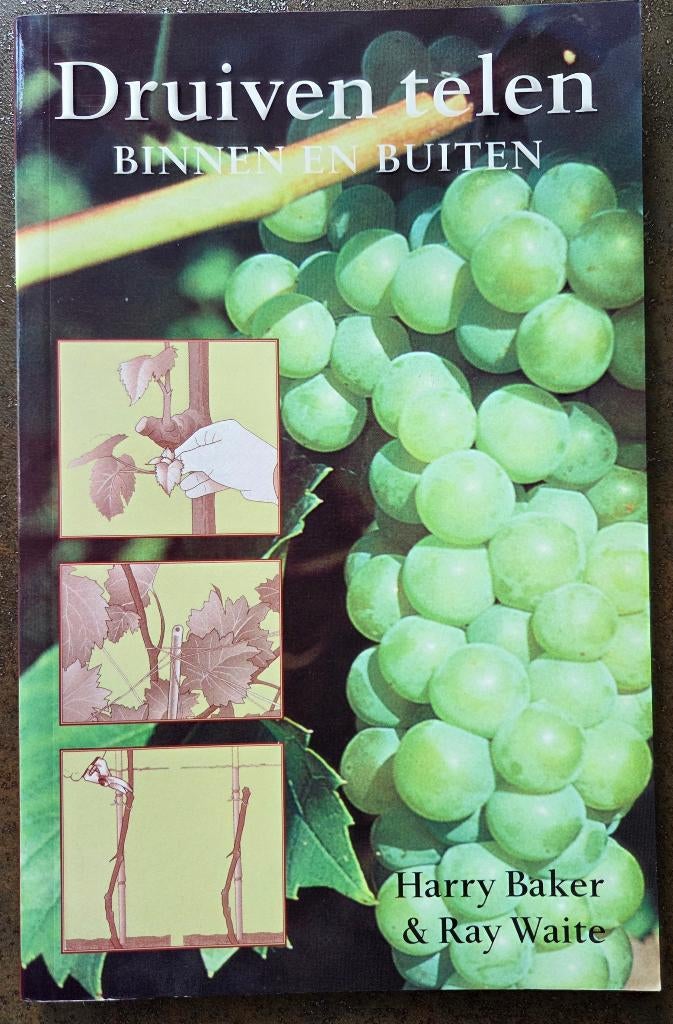 Druiven telen binnen en buiten - Harry Baker & Ray Waite, Verzenden, Zo goed als nieuw, Harry Baker & Ray Waite, Tuinieren en Tuinplanten
