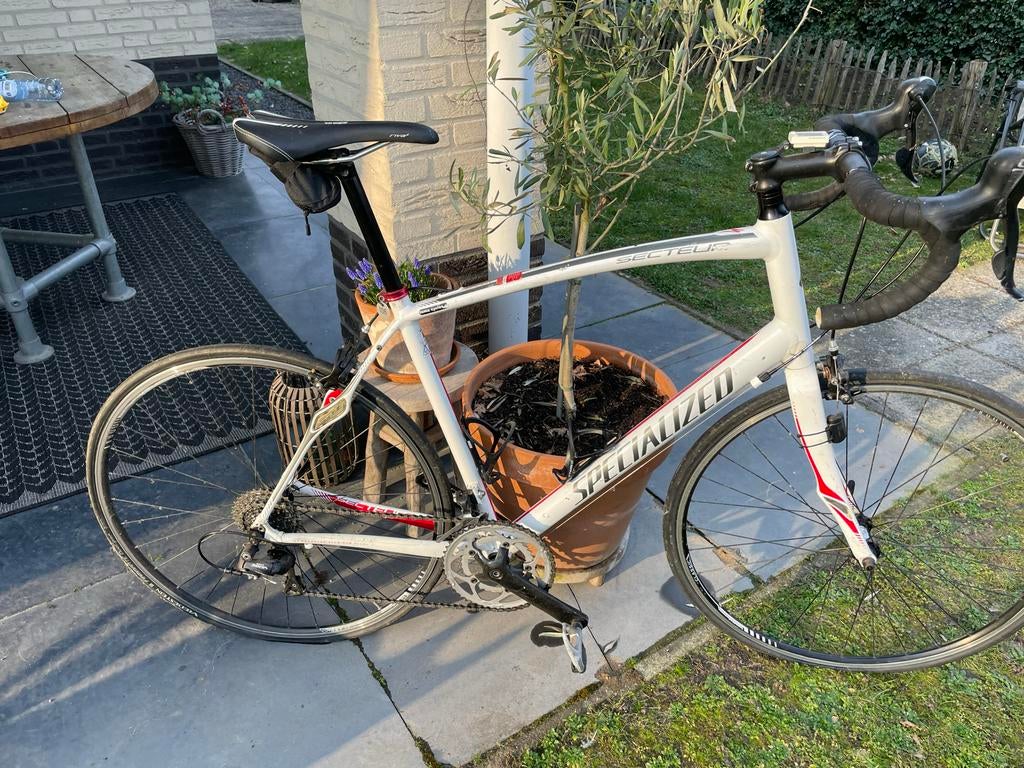 Wielrenfiets Specialized XL secteur, Fietsen en Brommers, 28 inch, Gebruikt, Heren, Aluminium