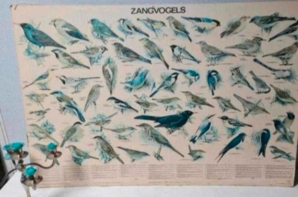 2 oude schoolplaten Zangvogels Zie omschrijving, Postzegels en Munten, Postzegels | Europa | Frankrijk, Ophalen of Verzenden