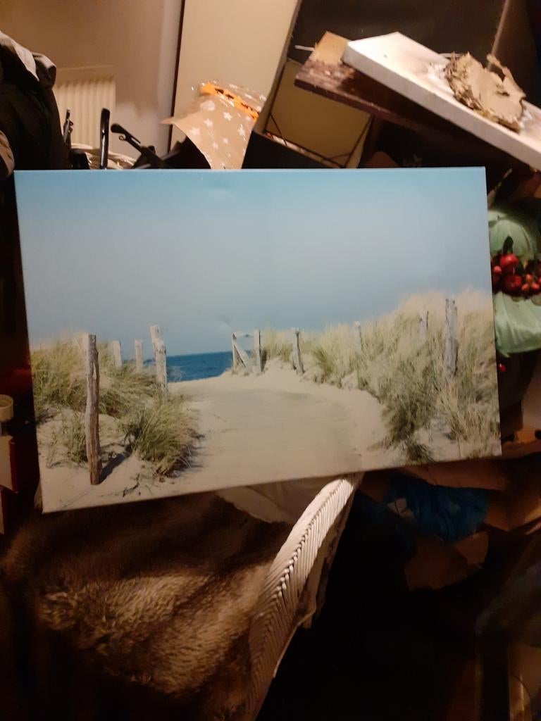 Grote tuin schilderij, Ophalen of Verzenden, Zo goed als nieuw