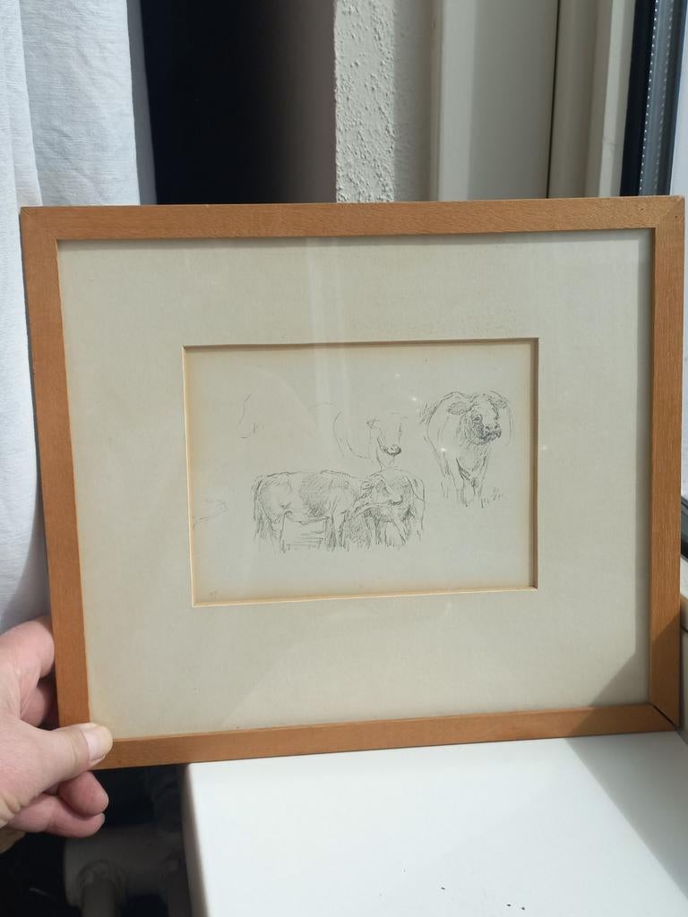 Schets koeien, Ophalen of Verzenden