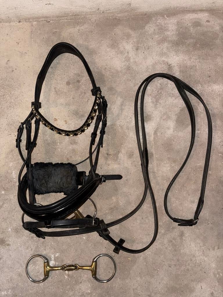 Hoofdstel, halster, martingaal en frontriemen FULL, Dieren en Toebehoren, Paarden en Pony's | Hoofdstellen en Tuigage, Ophalen of Verzenden