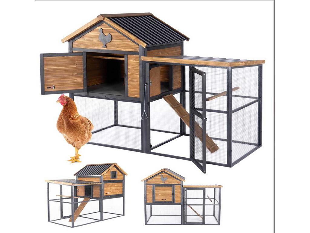 Nieuwe kippenhok, Ophalen, Nieuw