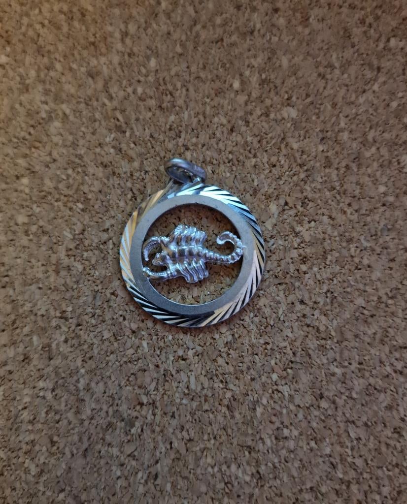 Echt zilveren hanger met schorpioen, Ophalen of Verzenden, Zo goed als nieuw, Kruis of Symbool, Zilver
