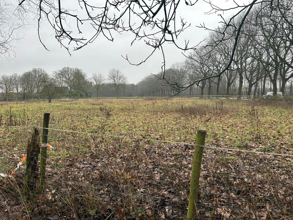 Weidegang, Weidegang