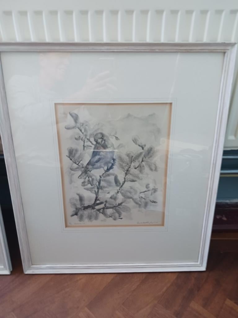 Aart van Dobbenburgh - Appelvink (Ets ogesigneerd, genummerd, Ophalen of Verzenden