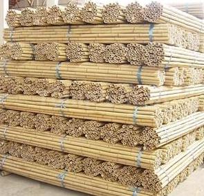 Bamboestokken 270cm 50 stuks, Ophalen, Nieuw, 250 cm of meer, Overige typen