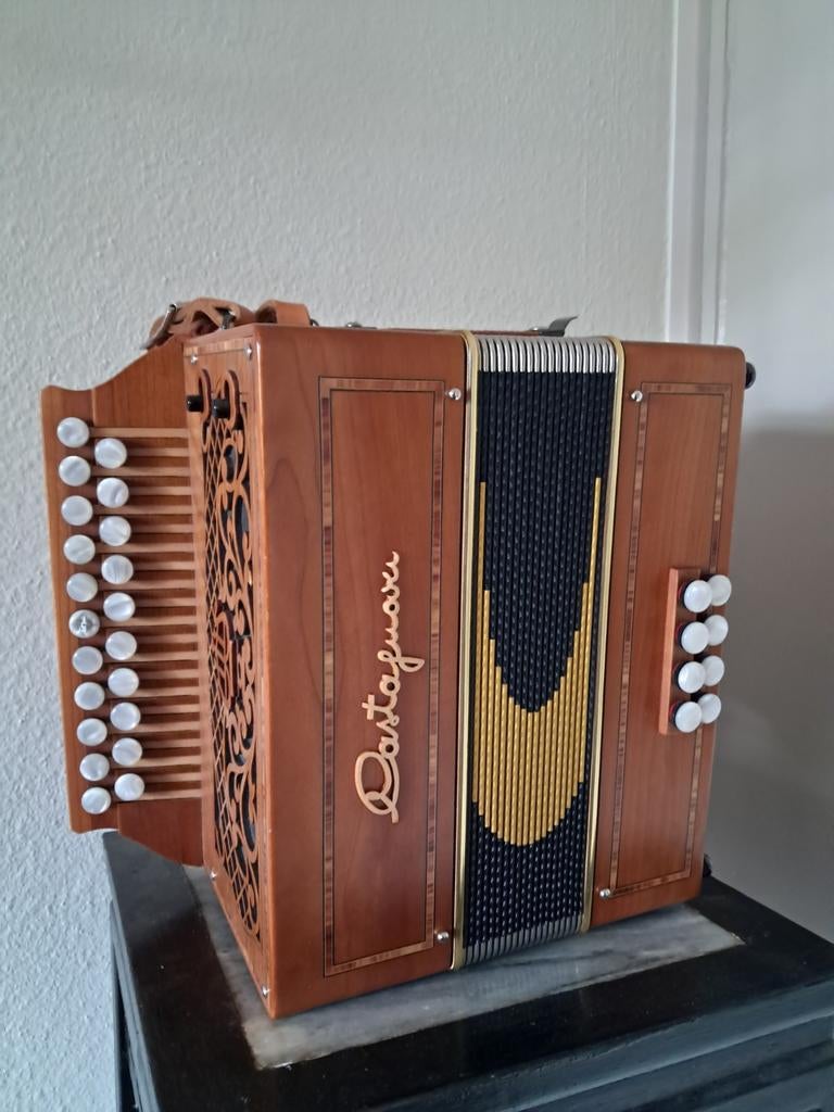 Castagnari, Muziek en Instrumenten, Accordeons, Ophalen of Verzenden, Zo goed als nieuw, 120-bas, Overige merken