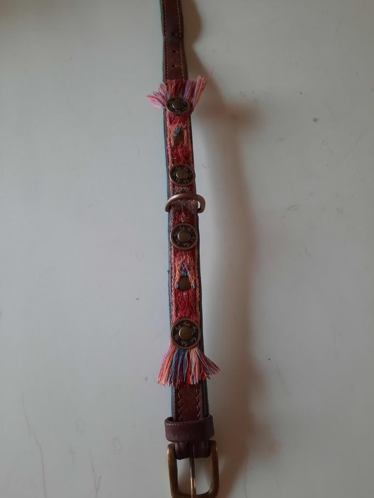 DWAM Dog With A Mission halsband, Ophalen of Verzenden, Zo goed als nieuw