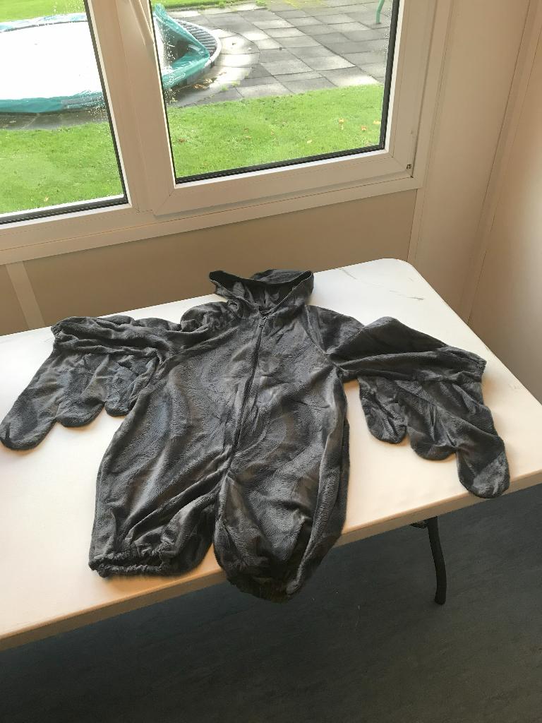 carnaval kind, duif/vogel, Ophalen of Verzenden, 122 t/m 128, Jongen of Meisje